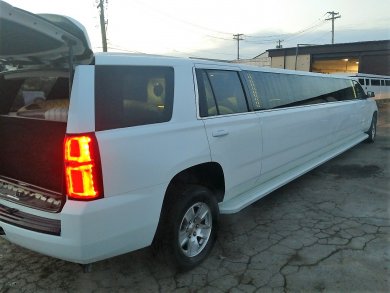 Photo 5