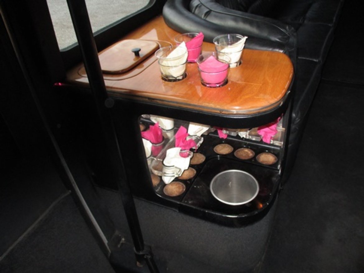 Limo Bus for Sale in Bellefontaine, OH - Photo 19