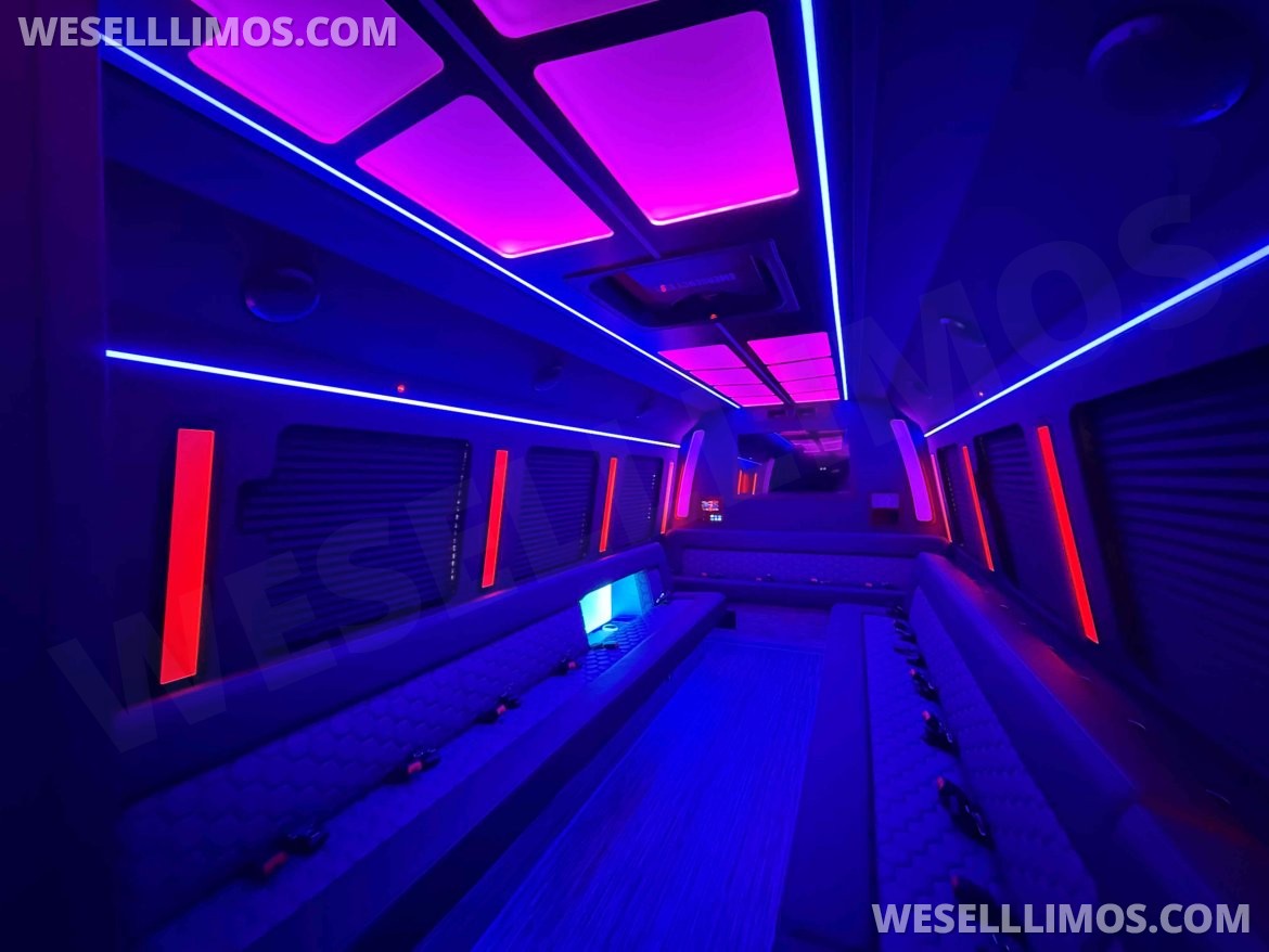 Limo Bus for Sale in North East, PA - Photo 8