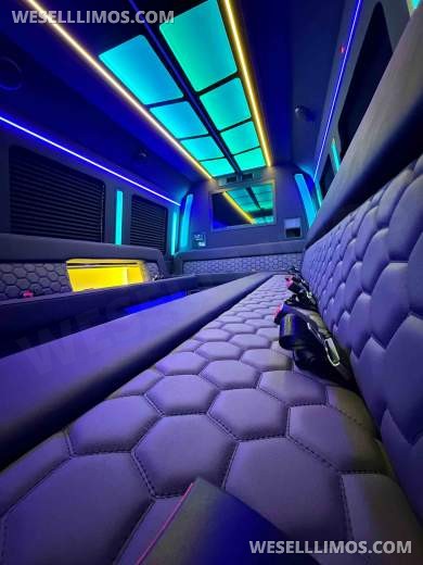 2026LGE Coachworks Ford F550 "Signature Series" Party Limo Bus with Air Ride - Limo Bus for Sale in North East, PA - Photo 3