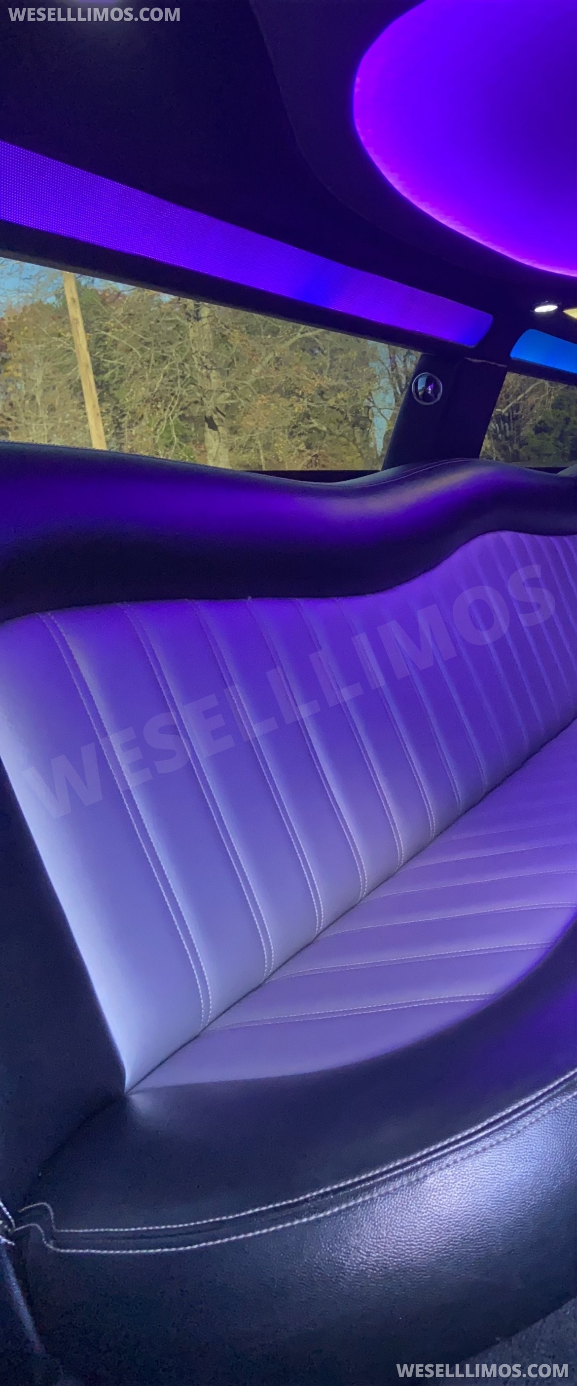 Limousine for Sale in Salisbury, NC - Photo 18