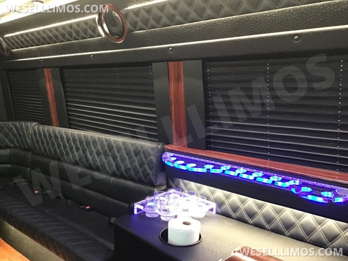 Limousine for Sale in Troy, OH - Photo 14