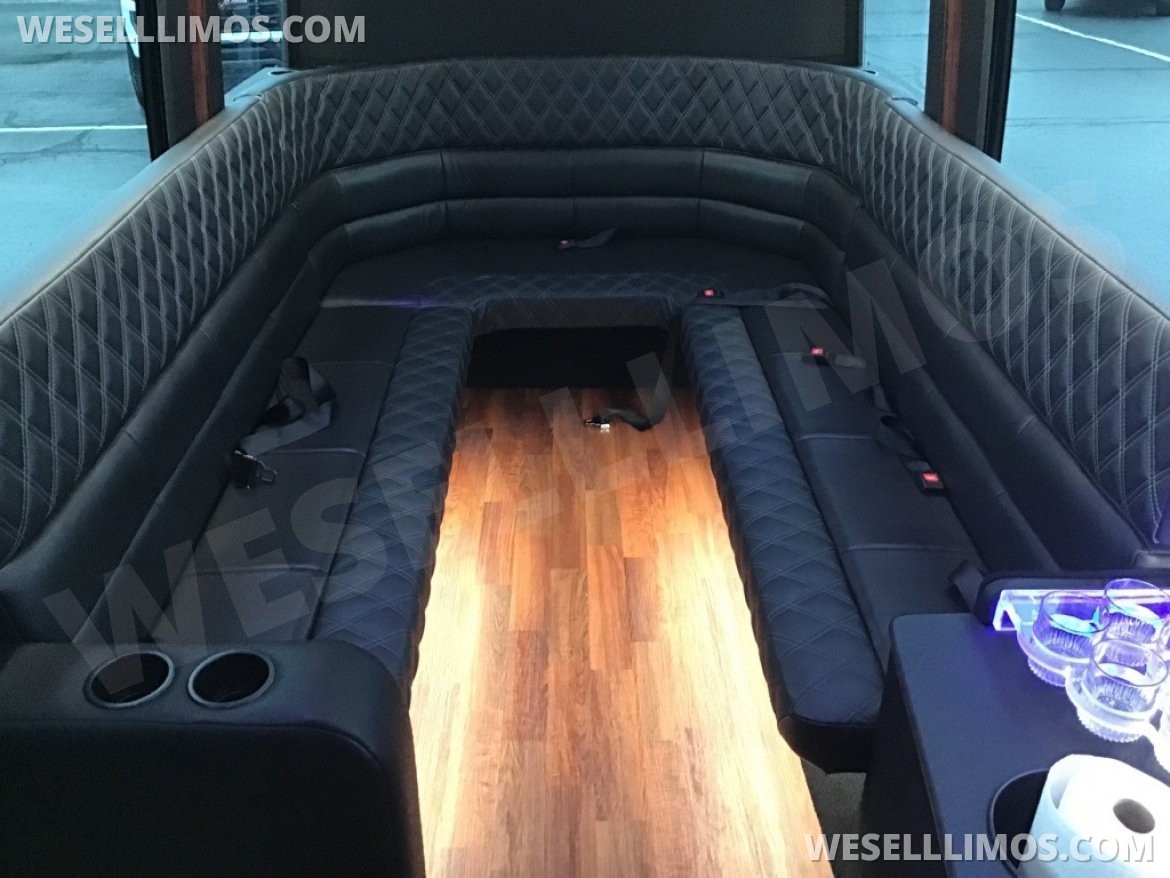 Limousine for Sale in Troy, OH - Photo 19