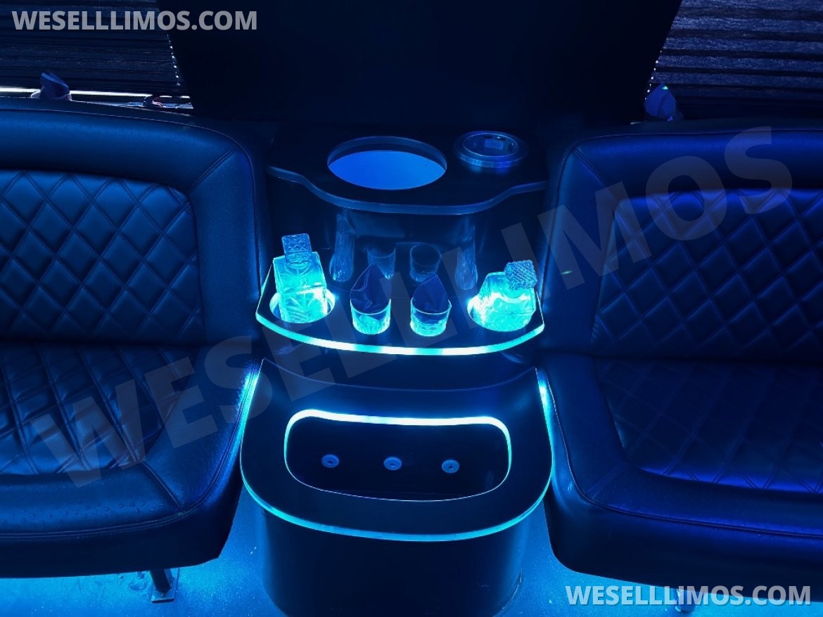 Limo Bus for Sale in Chicago, IL - Photo 8