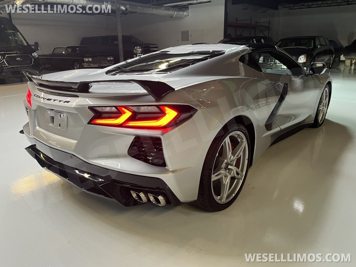 Exotic for Sale in Richmond, VA - Photo 6