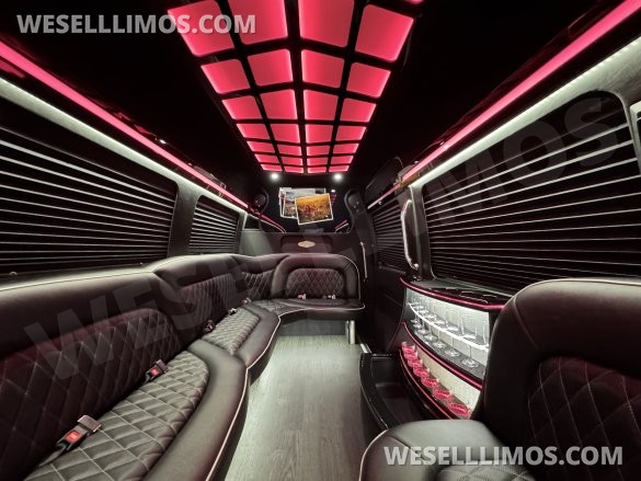 2019 Mercedes-Benz Limo Sprinter Sprinter for Sale in Springfield, MO - Photo 3