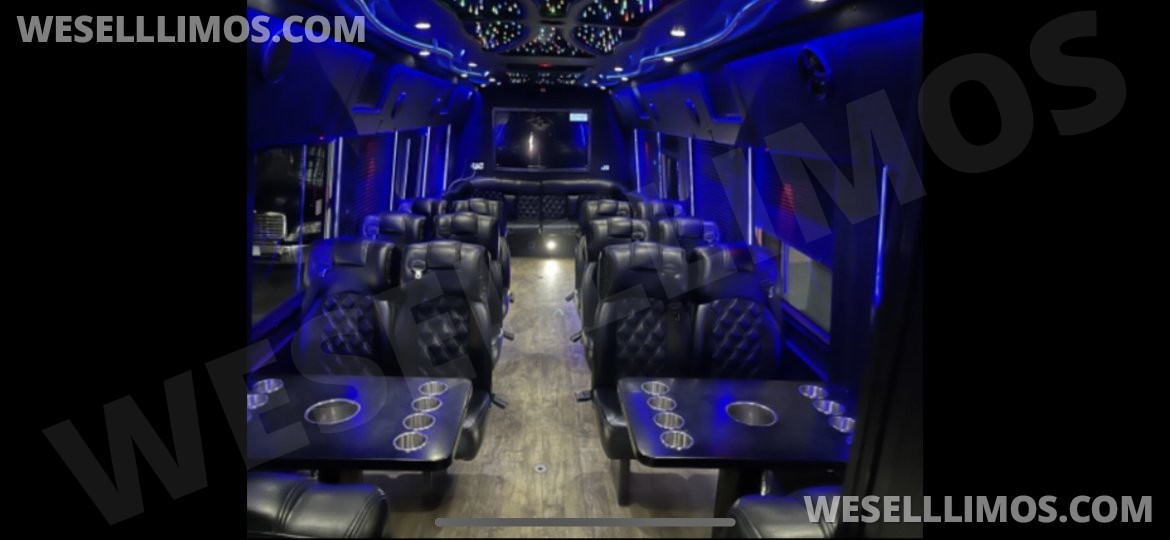 Limo Bus for Sale in Canton, GA - Photo 8