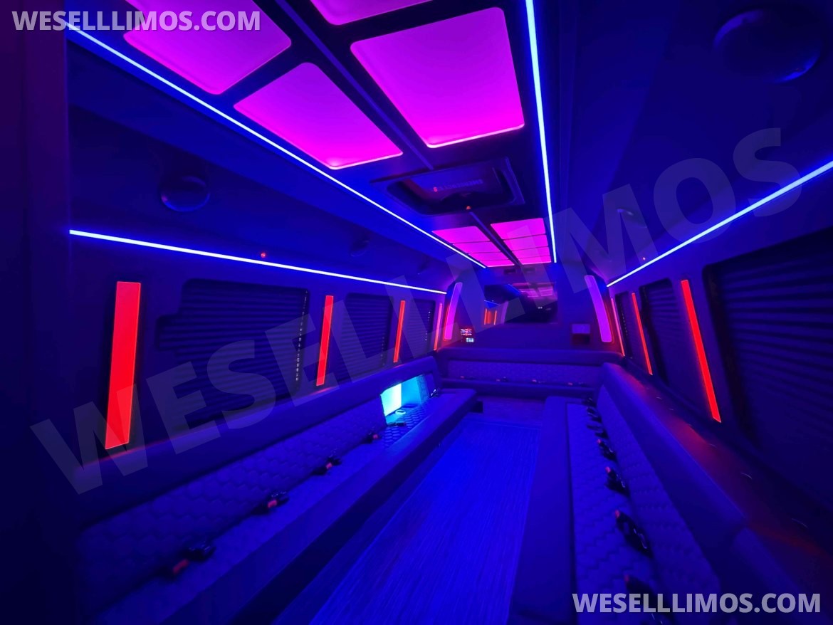 Limo Bus for Sale in North East, PA - Photo 5
