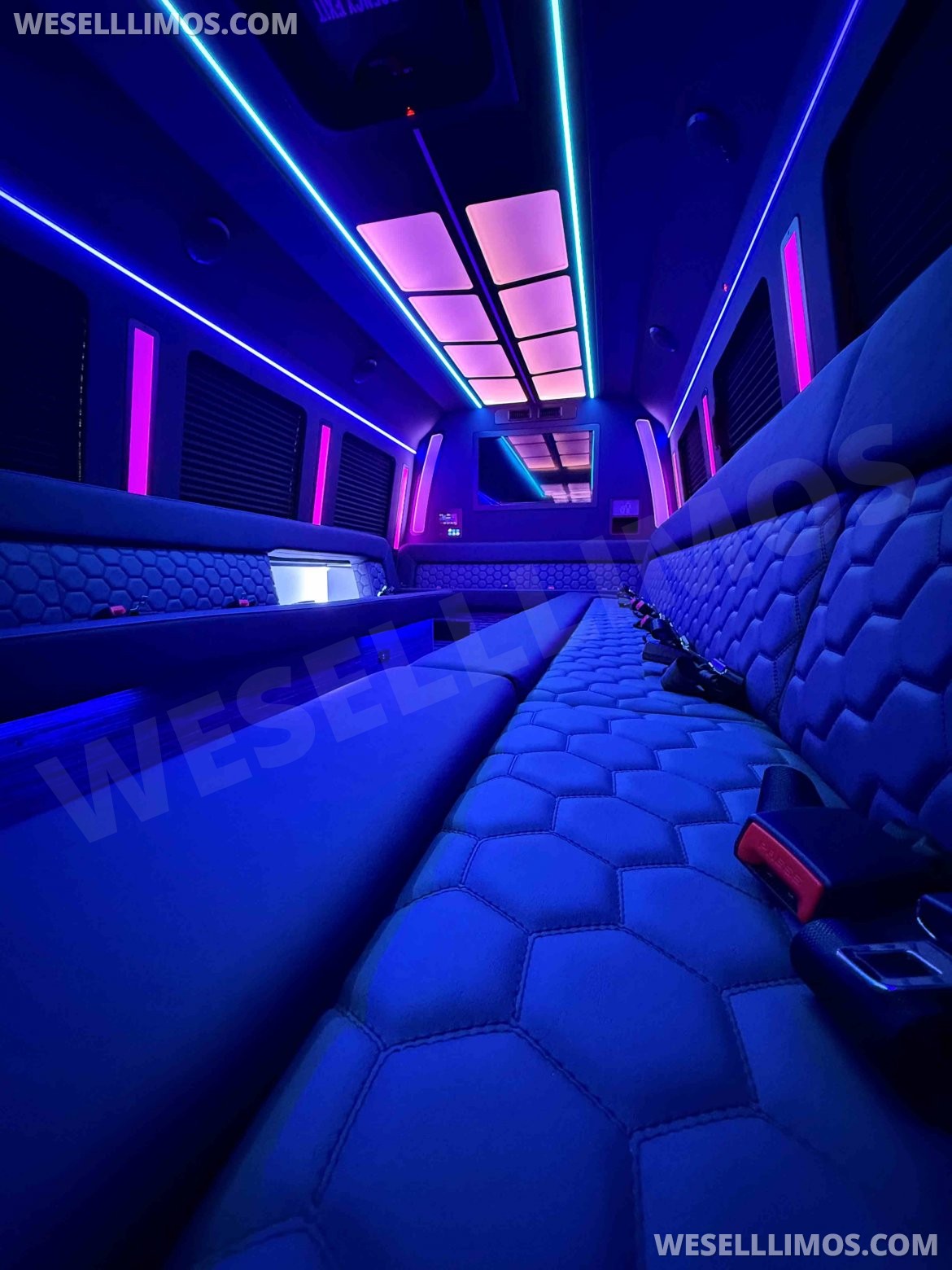 Limo Bus for Sale in North East, PA - Photo 7