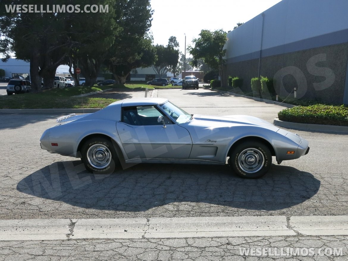Exotic for Sale in Carson, CA - Photo 7