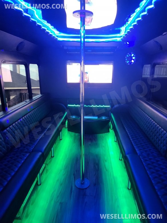 2016 Ford E450 Limo Bus for Sale in Cedar Hill, TX - Photo 3