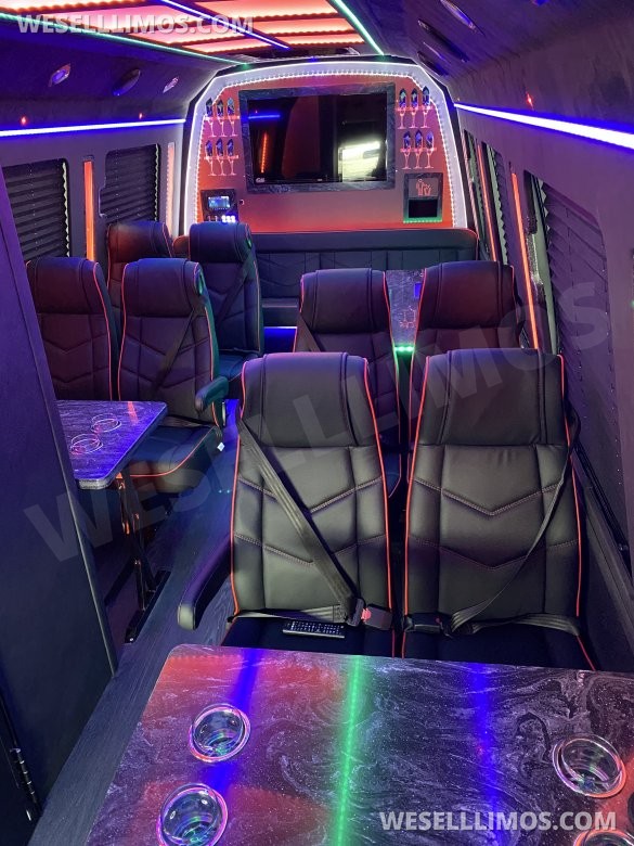 2019 Ford E450 Limo Bus for Sale in Peachtree City, GA - Photo 3