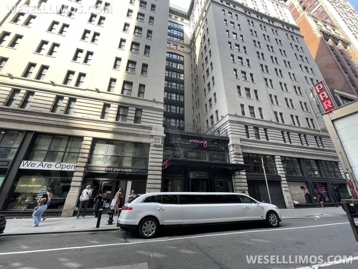 Limousine for Sale in Queens, NY - Photo 8