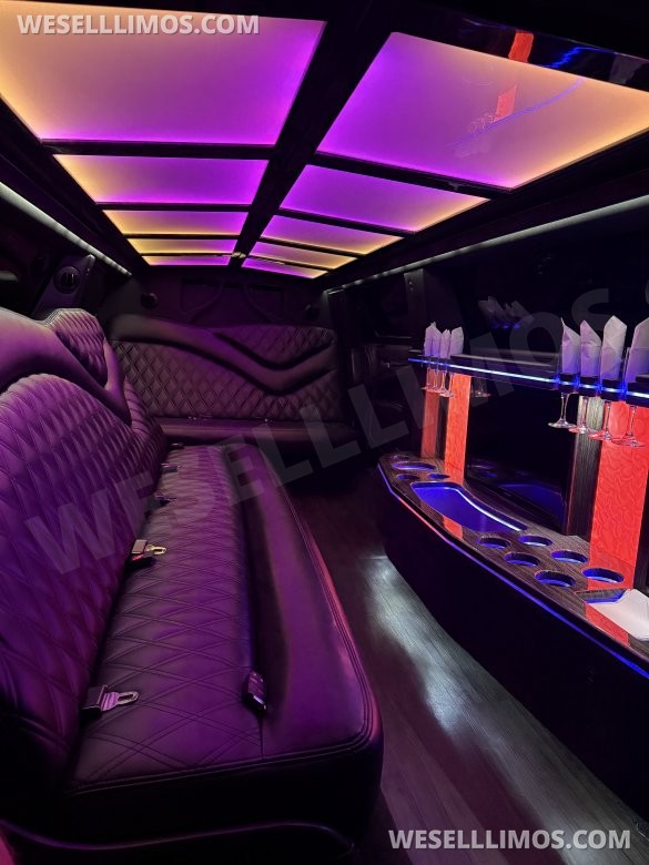 2017 Chrysler 300 Limousine for Sale in Macomb, MI - Photo 3