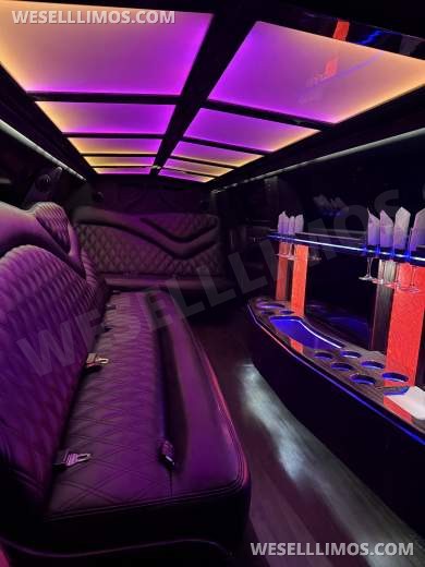 2017 Chrysler 300 Limo - Limousine for Sale in Macomb, MI - Photo 3