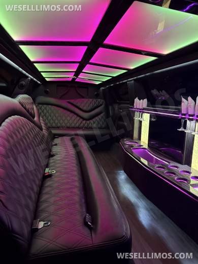 2017 Chrysler 300 Limo - Limousine for Sale in Macomb, MI - Photo 4