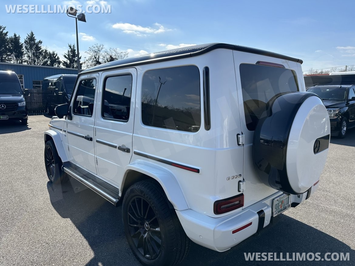 Exotic for Sale in Pasadena, MD - Photo 3