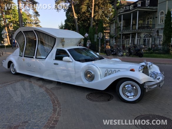 2001 Lincoln town car Exotic for Sale in даллас, TX - Main Photo