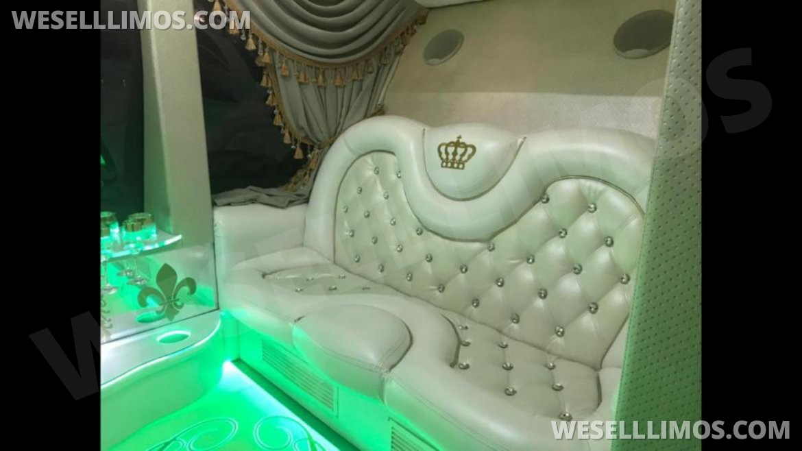 Exotic for Sale in даллас, TX - Photo 5