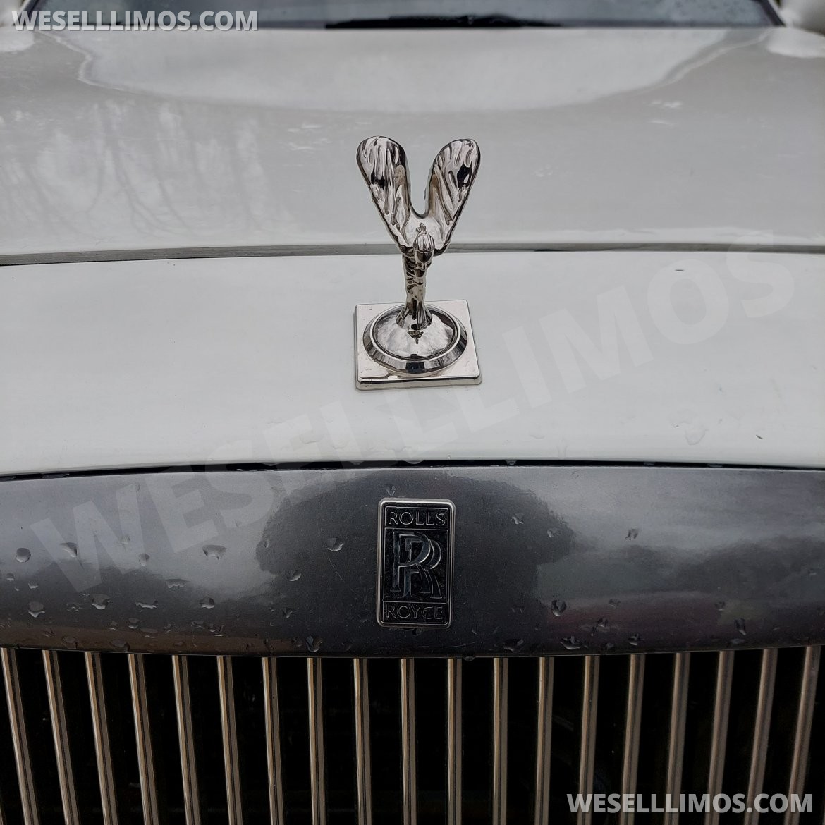 Limousine for Sale in Atlanta, GA - Photo 5