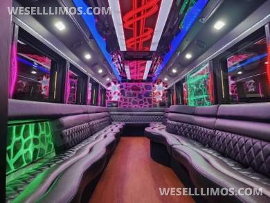 2015 LGE Ford F550 Limo Bus - Limo Bus for Sale in Delray Beach, FL - Photo 9
