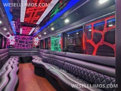2015 LGE Ford F550 Limo Bus - Limo Bus for Sale in Delray Beach, FL - Photo 10