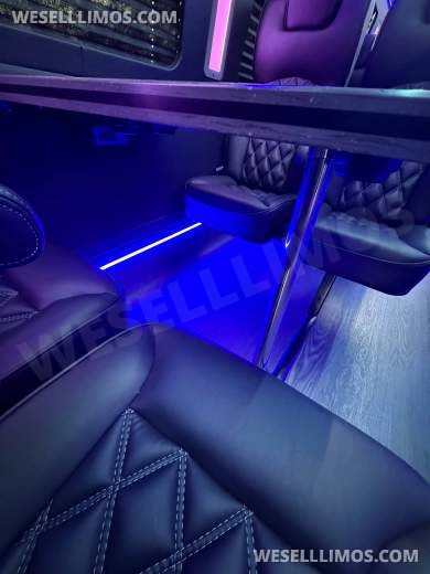 2025 LGE Coachworks Ford F-550 Executive Shuttle Bus - Shuttle Bus for Sale in North East, PA - Photo 8