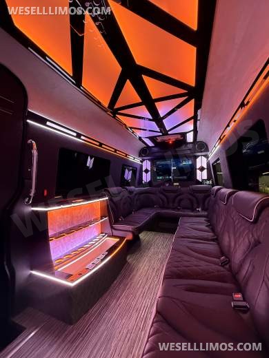 White Mercedes-Benz Sprinter 170ext Limo Style - Sprinter for Sale in Springfield, MO - Photo 10