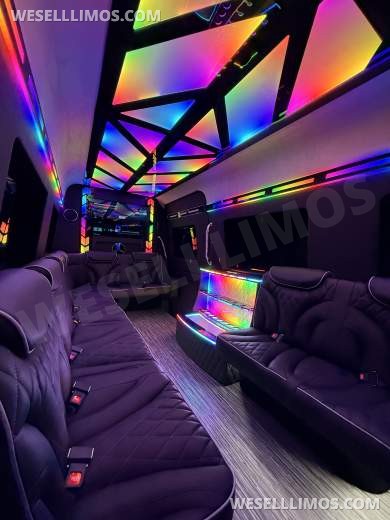 White Mercedes-Benz Sprinter 170ext Limo Style - Sprinter for Sale in Springfield, MO - Photo 12