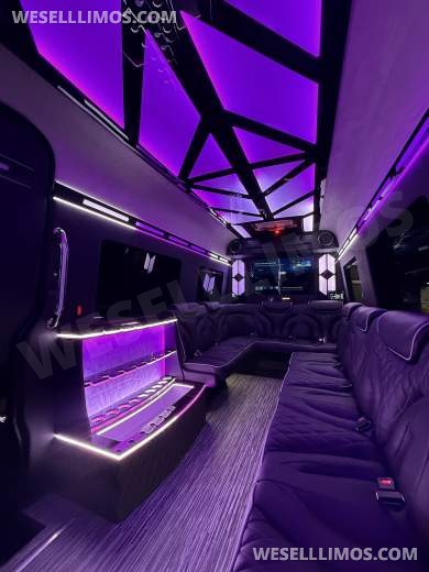 White Mercedes-Benz Sprinter 170ext Limo Style - Sprinter for Sale in Springfield, MO - Photo 14