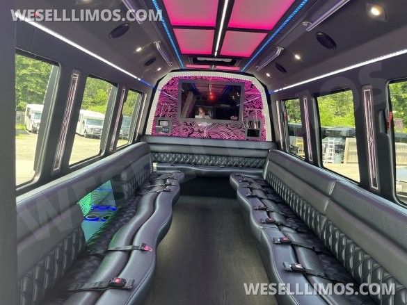 2018 Ford E450 Limo Bus for Sale in Pasadena, MD - Main Photo