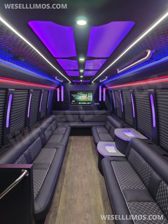 2019 Ford E450 Limobus Limo Bus for Sale in Erie, PA - Main Photo