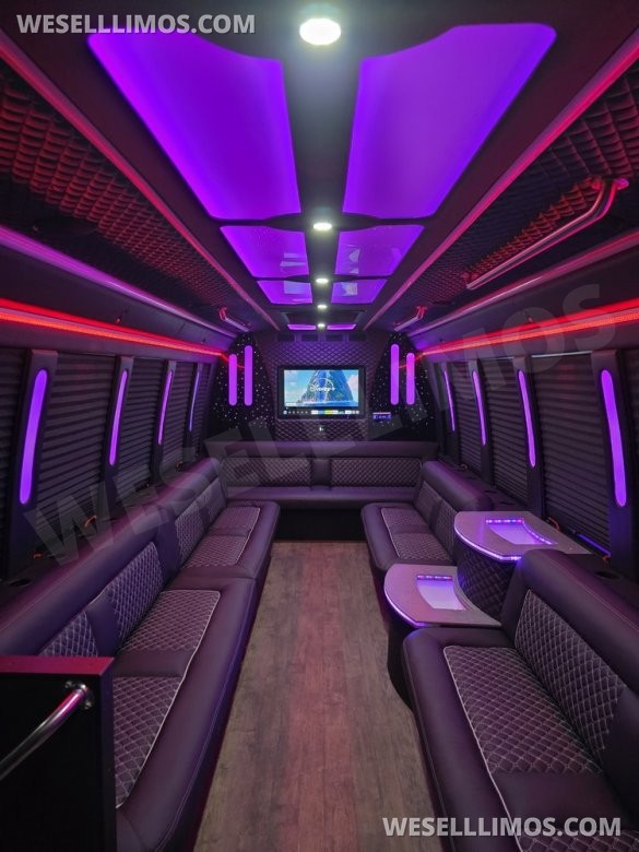 2019 Ford E450 Limobus Limo Bus for Sale in Erie, PA - Photo 2