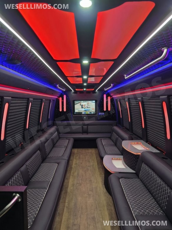 2019 Ford E450 Limobus Limo Bus for Sale in Erie, PA - Photo 3