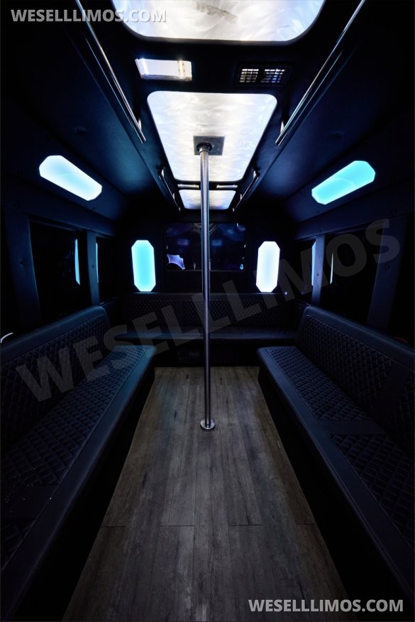 2011 Ford F-650 Super Duty Limo Bus for Sale in Las Vegas, NV - Photo 3