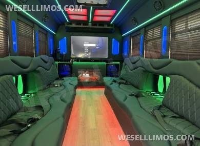 2018 Ford E450 Limo Bus - Limo Bus for Sale in Los Angeles, CA - Photo 15