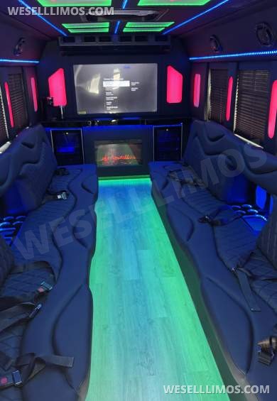 2018 Ford E450 Limo Bus - Limo Bus for Sale in Los Angeles, CA - Photo 30