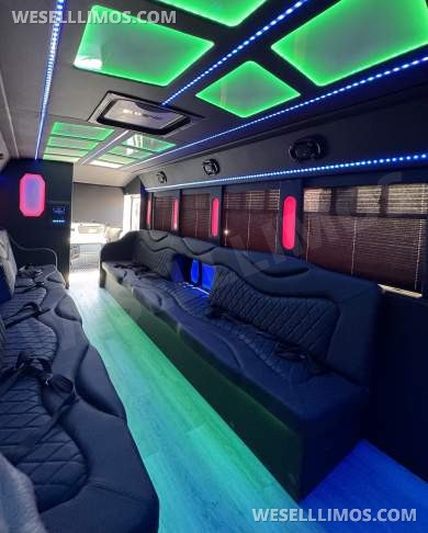 2018 Ford E450 Limo Bus - Limo Bus for Sale in Los Angeles, CA - Photo 14
