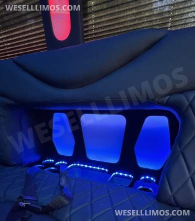 2018 Ford E450 Limo Bus - Limo Bus for Sale in Los Angeles, CA - Photo 37