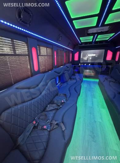 2018 Ford E450 Limo Bus - Limo Bus for Sale in Los Angeles, CA - Photo 38