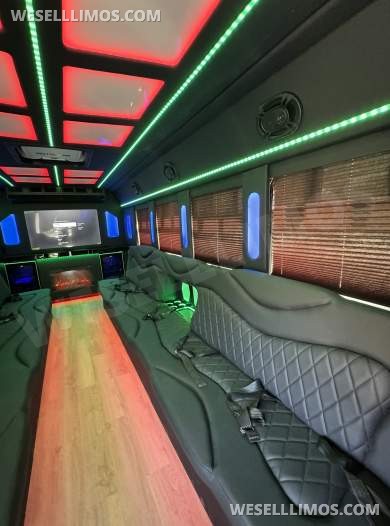 2018 Ford E450 Limo Bus - Limo Bus for Sale in Los Angeles, CA - Photo 12