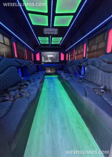 2018 Ford E450 Limo Bus - Limo Bus for Sale in Los Angeles, CA - Photo 9