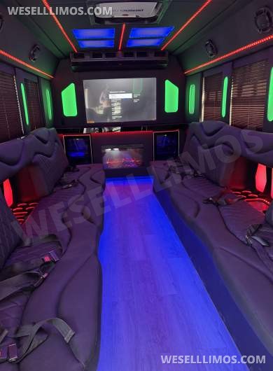 2018 Ford E450 Limo Bus - Limo Bus for Sale in Los Angeles, CA - Photo 39