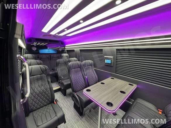 2025 Mercedes-Benz 14px Executive Shuttle Sprinter for Sale in Spingfield, MO - Photo 2