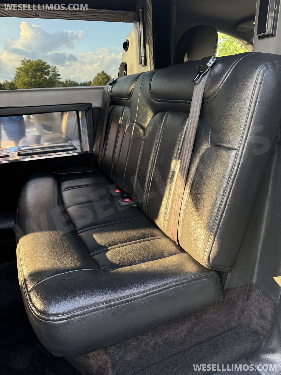 Limousine for Sale in Naperville, IL - Photo 10