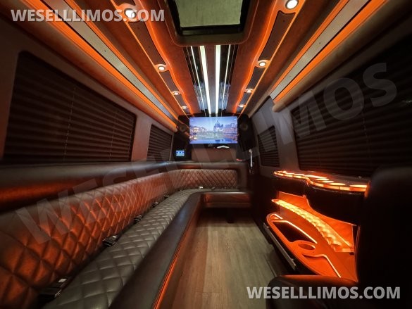 2021 Mercedes-Benz Limo Sprinter Sprinter for Sale in Springfield, MO - Photo 3