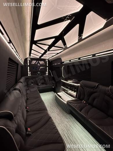 More Than Luxury - A custom Light show on wheels 14 Passenger - Sprinter for Sale in Springfield, MO - Photo 11