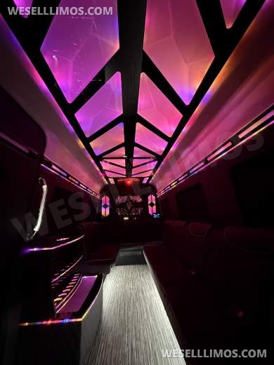 More Than Luxury - A custom Light show on wheels 14 Passenger - Sprinter for Sale in Springfield, MO - Photo 16