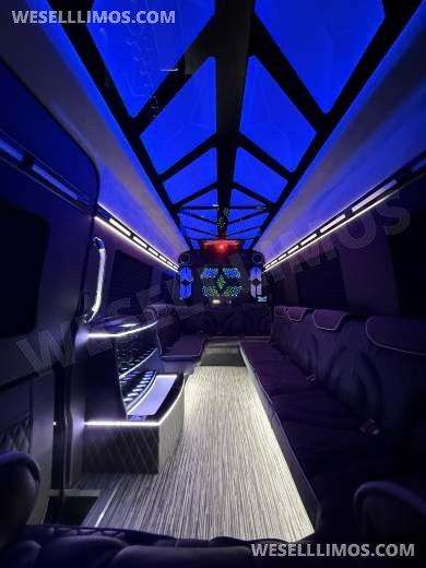More Than Luxury - A custom Light show on wheels 14 Passenger - Sprinter for Sale in Springfield, MO - Photo 19