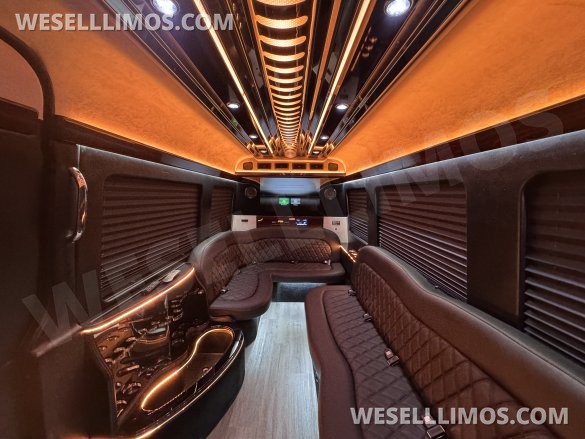 2014 Mercedes-Benz Limo Sprinter Sprinter for Sale in Springfield, MO - Photo 3